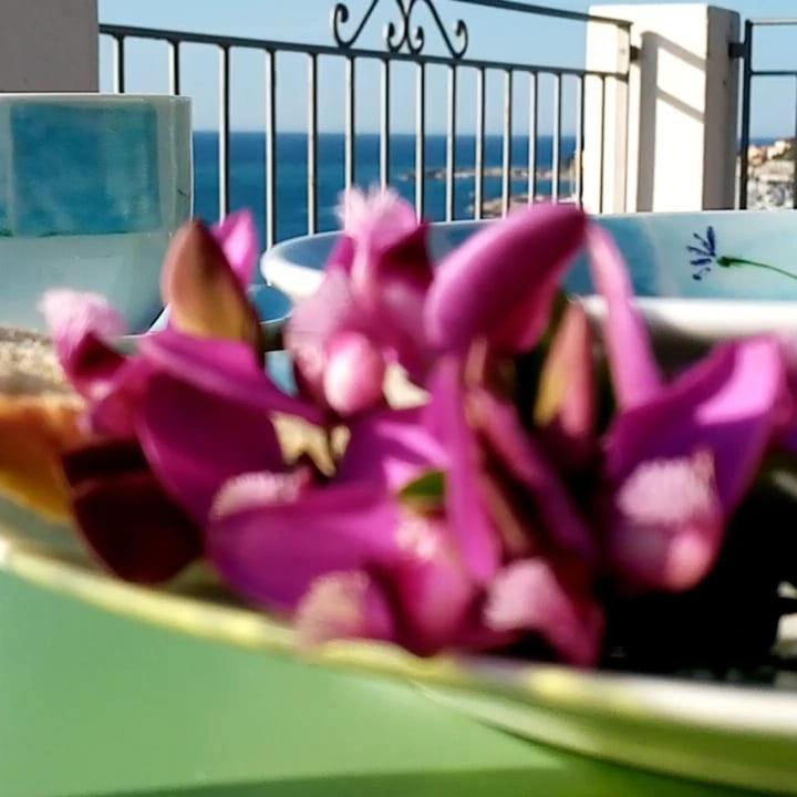Agriturismo La Tuffatrice Империа Екстериор снимка