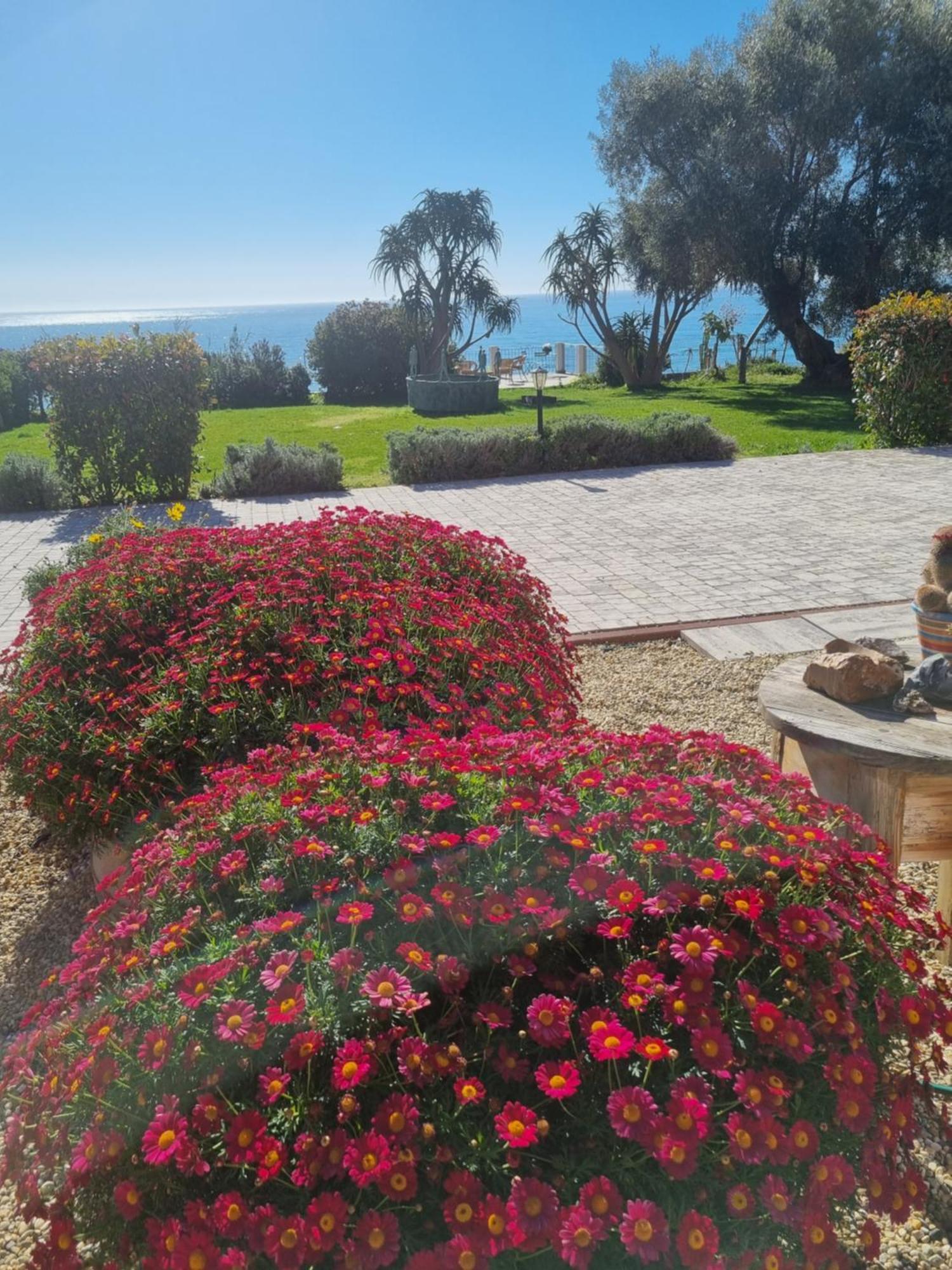 Agriturismo La Tuffatrice Империа Стая снимка